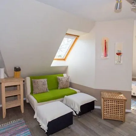 아파트 Am Museumshof *